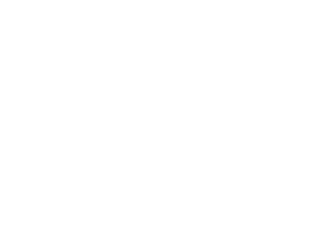Conscious Nutrition and Health